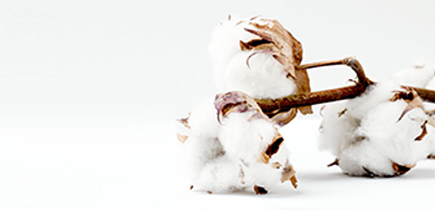 Futon Natural futon Natural