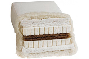 Biofuton DW 5.1 Biofuton DW 5.1