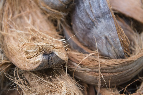 kokosfasern kokosfasern